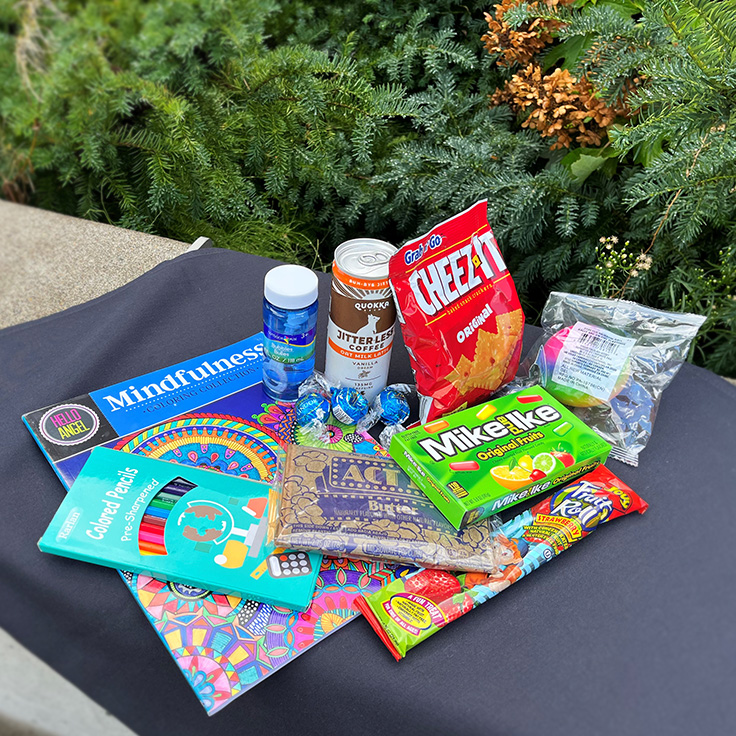 items available in destress hug package