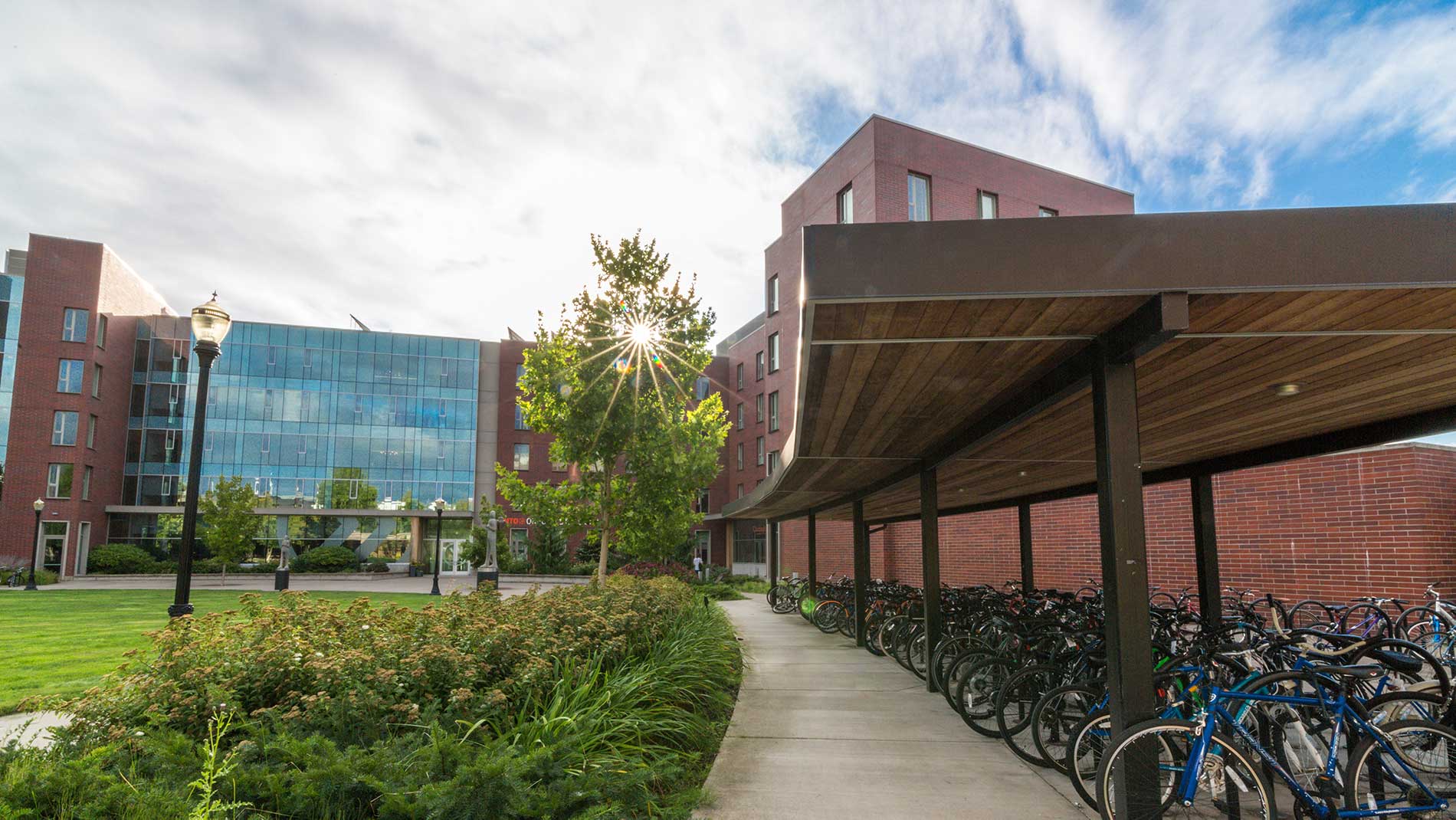 pathway leading to ILLC