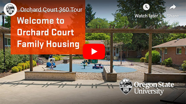 orchard court 360 video