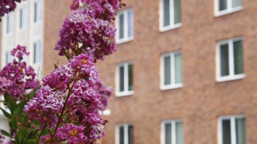 Residence Hall image
